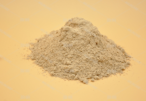 甘氨酸亚铁 Ferrous Bisglycinate